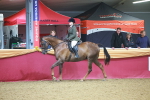 SBM_09676