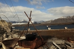 Cooking gulyas in Farmhamna 3979