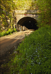 Monsal Head Tunnel