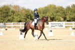 SBM_019304