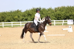 SBM_008585
