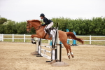 SBM_008971