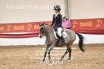 BPP_8260