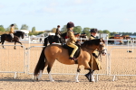 SBM_08131