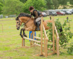 Dunblane show-455