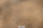 251004A-140732-01443