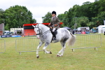 SBM_02640