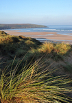 Portrait view of Crantock Beach from The Sand Dunes