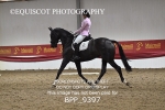 12TH APRIL 2026 - DRESSAGE - MUIRMILL EC portfolio