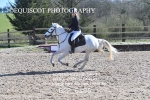 BPP_6196