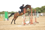 SBM_001529