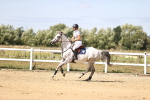 SBM_008124