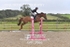 BPP_2966