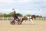 SBM_001015