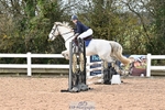 Cls 14s A&B BC Pony Newc & 1.00m Open portfolio