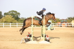SBM_03917