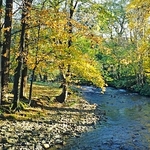Aira Beck