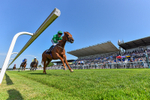 230626-Race 5-Percys Daydream-1401