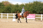 SBM_011930