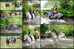 Chiltern Rides - Brockhurst & Marlston House 23-06-24 portfolio