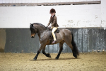 SBM_008941