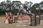 Senior Foxhunter/ 1.20m Open portfolio