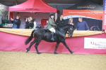 SBM_09630