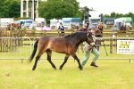 SBM_00261