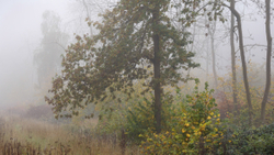 Periphery of Visibility