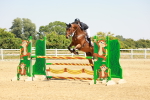 SBM_001650
