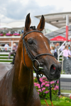 260724-Race 2-Churchella-4765