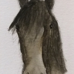 George - draught horse
