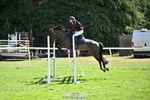 Saturday 22nd Newberry Arena portfolio