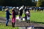 438-KILCORBAN.MY.FAIR.LADY-Natasha.Crapper-TrotUp+SJ portfolio