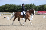 SBM_020239