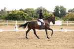 SBM_005341