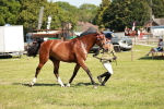 SBM_18934