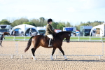 SBM_08710