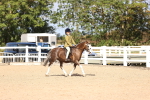 SBM_11590
