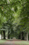 Farnham portfolio