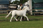 SBM_00607