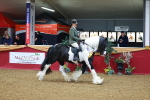 SBM_09881