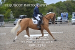 BPP_7243