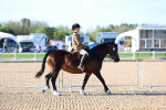 SBM_08704
