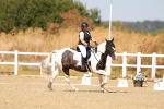 SBM_018269
