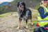 Barrow Fell-536