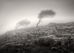 Dales wind