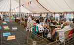 Guernsey Agricultural Show 2021-144