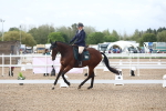 SBM_00203