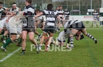 Rugby_Guernsey v Sutton  Epsom-33
